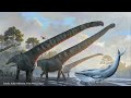 A Dinosaur The Size of a Blue Whale? Bruhathkayosaurus matleyi