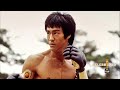 7 Actores Expertos En Artes Marciales | Actores Que Saben Artes Marciales En La Vida Real