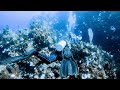 Roatan_Dive_03