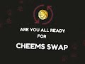 Cheems Inu hint to introduce CHEEMS SWAP!!!