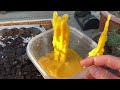 ❸ DIY Solar Wax Melter - Simple and effective