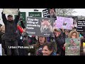 Violence flares at UK Boxing Day fox hunt as horses collide with protesters