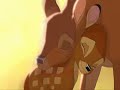 Bambi and Spirit ~ Somewhere ~ WIthin Temptation