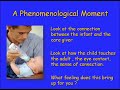 Phenomenology - Person Centred Therapy