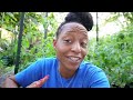 Urban Homestead Living | Some Things I'm Doing in Early June | I Need Worms (I'm Taking A Break)