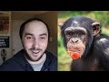 Is It Fair To Compare Hominids & Chimpanzees?