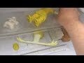 Clay models in the freezer