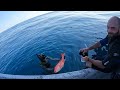 Spearfishing Offshore Oil Rigs w/ Mulletman, Hushin & ShedCrazy || Spear & Cook Snapper Tacos