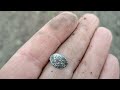 ЛЕС ПРОВЕРЯЛ НА ВЫНОСЛИВОСТЬ! В ПОИСКАХ СТАРИНЫ!#копстарины #metaldetecting #коп