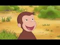 🐘 Befriending a Baby Elephant | CURIOUS GEORGE