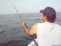 Sunrise Fishing Charters Middle Ground mayhem