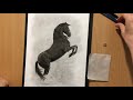 Equine Art in Charcoal - Black Horse Drawings