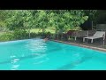 #Swimming part01 #shortvideo
