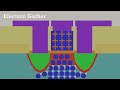 NMOS process flow(nmos 제조 공정 & 동작원리)