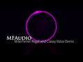 MFAudio Regal and Classy Demo Reel