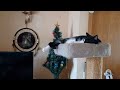 SUNNY & SAFFIRE  #kittymukbang  #cattree