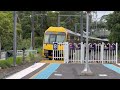 Trains at Pymble With Crazykset