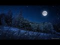 Relaxing Sleep Music and Night Nature Sounds: Soft Crickets, Beautiful Piano, Fall  Asleep Fast