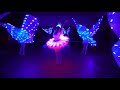 LED Performance Wind Rose/LED Ballerinas/LED Wings Show by Light of Dance