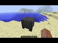 how to place cauldron in minecraft