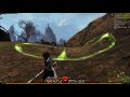 Action Camera! - Guild Wars 2