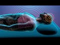 432 Hz, Brain Massage Music, Proven Healing Sound Therapy, Enhance Physical and Mental Health 2