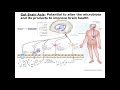 Exercise, Diet, and Gut-Brain-Axis: Webinar Series on Gut-Brain Axis and Microbiome – Illinois