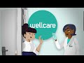 Wellcare Introduction