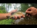 Most Insane URBAN CREEK Fishing I've EVER FOUND!!! But There's a Catch... (KICKED OUT!)