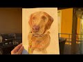 PET PORTRAIT! Watercolor painting tips!