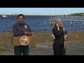 Governor DeSantis press conference on Hurricane Debby