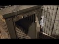 Automatic Dog Kennel Door