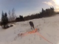 GoPro Moose Attack