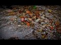 Trickling Water Sounds - Peaceful River sounds - 3 Hours Long - HD 1080p - Nature Video