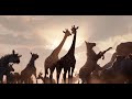 THE LION KING Clip - Great Kings (1994) Disney