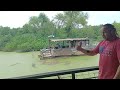 Alligator Feeding at Gator Country in Natchitoches, LA