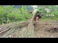 A single mother searches for bamboo and The mother and daughter helped the baby in distress- ly a Ca