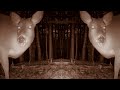 Porch Critter Karaoke 11 Featuring Jane Doe the Deer - I Feel It All