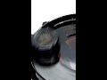 Ferrofluid is crazy