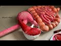 Biology project _ Human Digestive system 3d model #science #medical