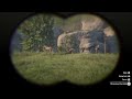 Wild Horses Interaction |Red Dead Redemption 2|