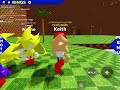 How to change your name on poly sonic rp
