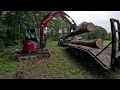 Salvaging A Dead Tree Into Useful Trailer Decking And Maintenance