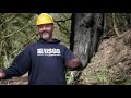 Steve Sobieszczyk - Who works at USGS?