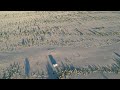S7E11 Drone Desert Vibe | Living our Dream Now & Today - Roam Free