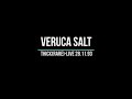 Veruca Salt - Thick (rare sg live '93)