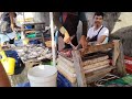 SEAFOOD NG MALABON GANITO ANG PRESYUHAN NGAYON! #malabon #buraotan #fishport #marielasin #tardunztv