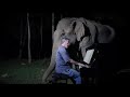 Beethoven “Moonlight Sonata” for Old Elephant