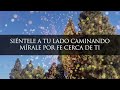 Musica Cristiana Para Alimentar el Alma | Alabanzas Ideales para Orar | Intimidad con Dios