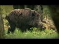300 Million Years in Europe | Full Nature Documentary - Part 1